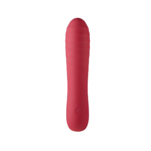 secret service (copy)